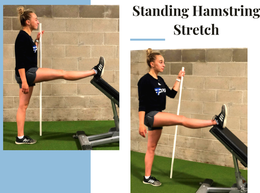 8 Stretches to Release Tension From Your Desk Job Pure Fitness WI