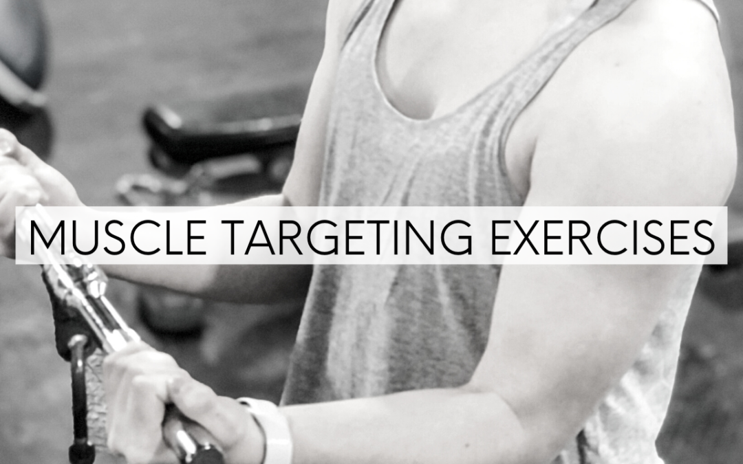 DISCOVER THE BEST MUSCLE TARGETING EXERCISES