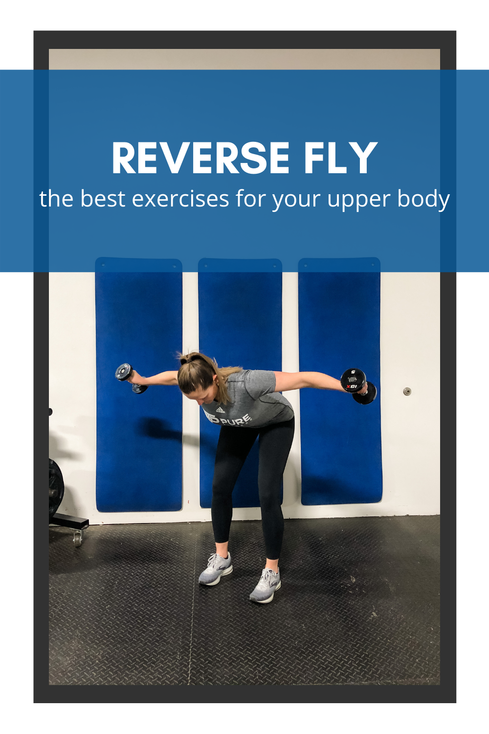 reverse fly exercise