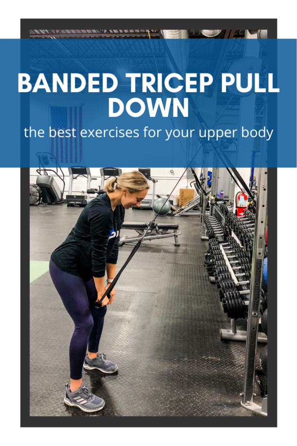DISCOVER THE BEST UPPER BODY EXERCISES FOR YOUR TRICEPS Pure Fitness WI